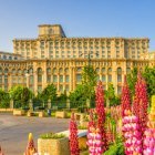 © Balate Dorin - stock.adobe.com