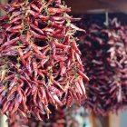 © stormy-stock.adobe.com