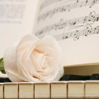 © Istockphoto/GLS