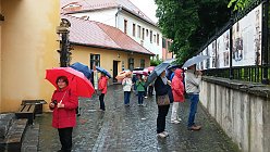 © Quality Tours & Travel