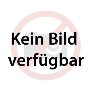 Globus Koffer