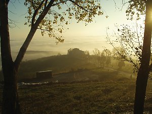 Weingut Stirbey-Dragasani
